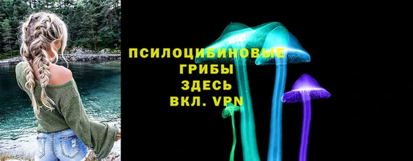 тгк Бородино
