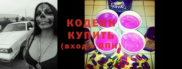 тгк Бородино