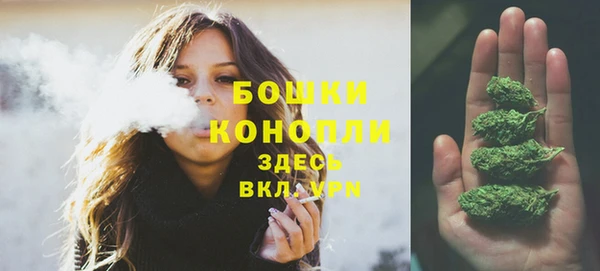 тгк Бородино