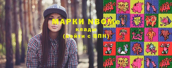 тгк Бородино