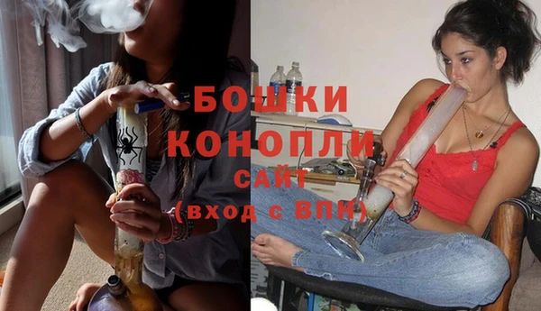 тгк Бородино