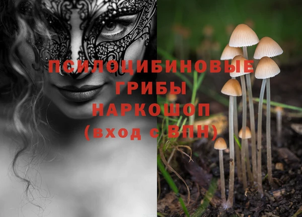 твердый Протвино
