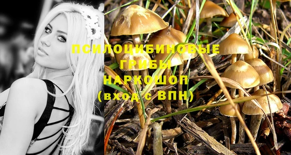 тгк Бородино